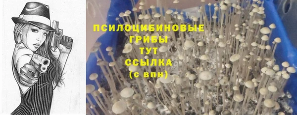 гидропоника Алексеевка