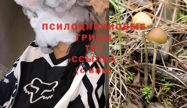 прущая мука Алзамай